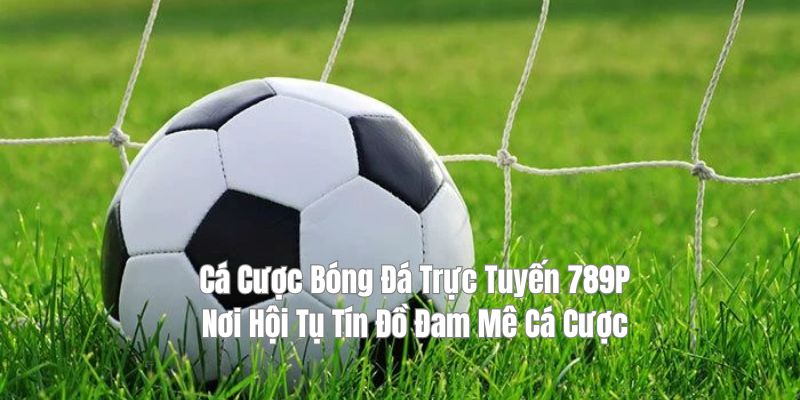 Cá Cược Bóng Đá Trực Tuyến 789P - Nơi Hội Tụ Tín Đồ Đam Mê Cá Cược