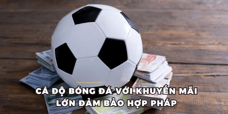 Cá độ bóng đá với khuyến mãi lớn đảm bảo hợp pháp